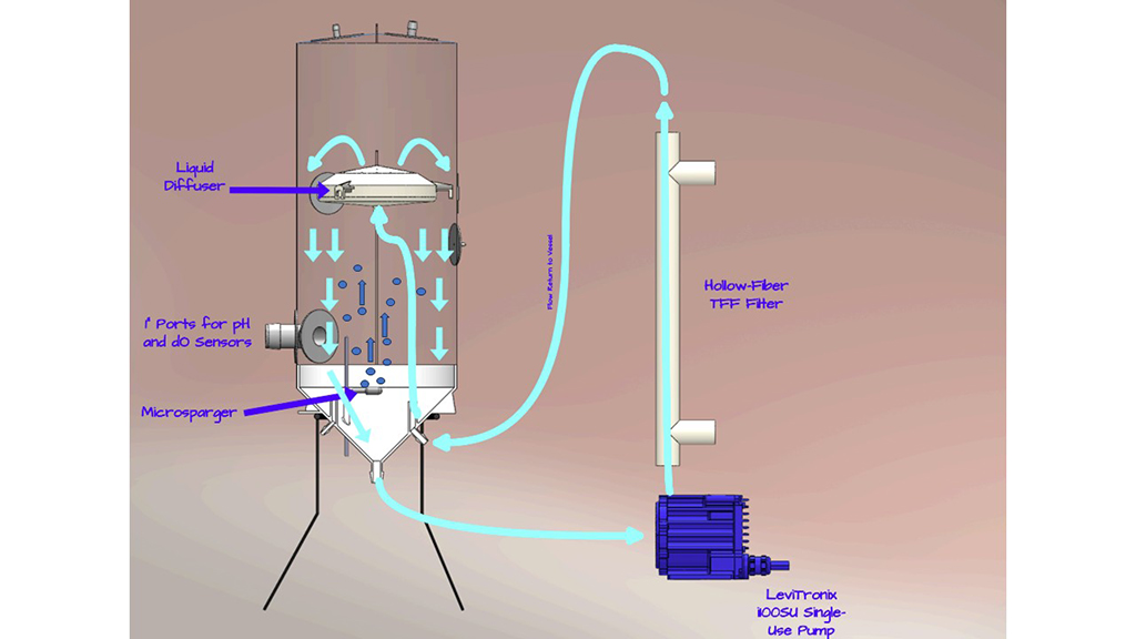 A Novel Single-Use Perfusion Bioreactor Without a Mixing Impeller