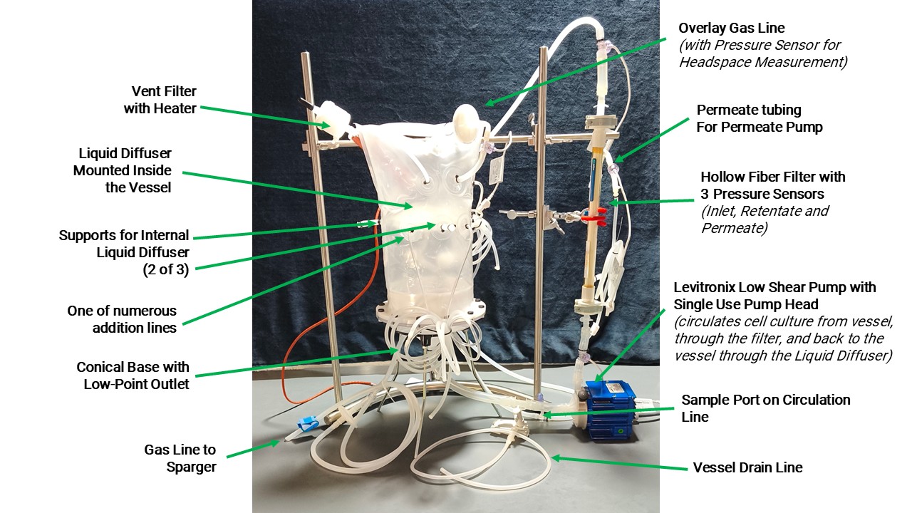 A Novel Single-Use Perfusion Bioreactor Without a Mixing Impeller