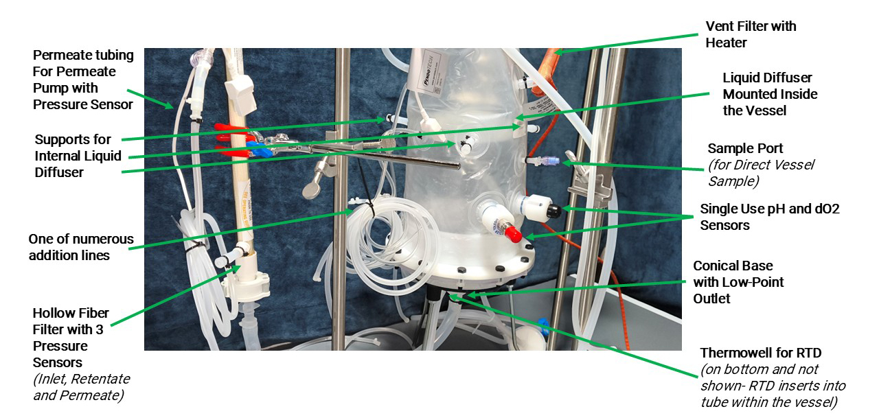A Novel Single-Use Perfusion Bioreactor Without a Mixing Impeller