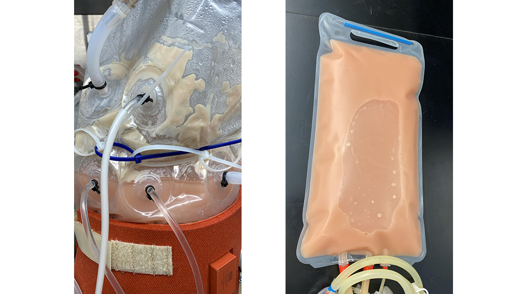 CP Biotools Bioreactor Results